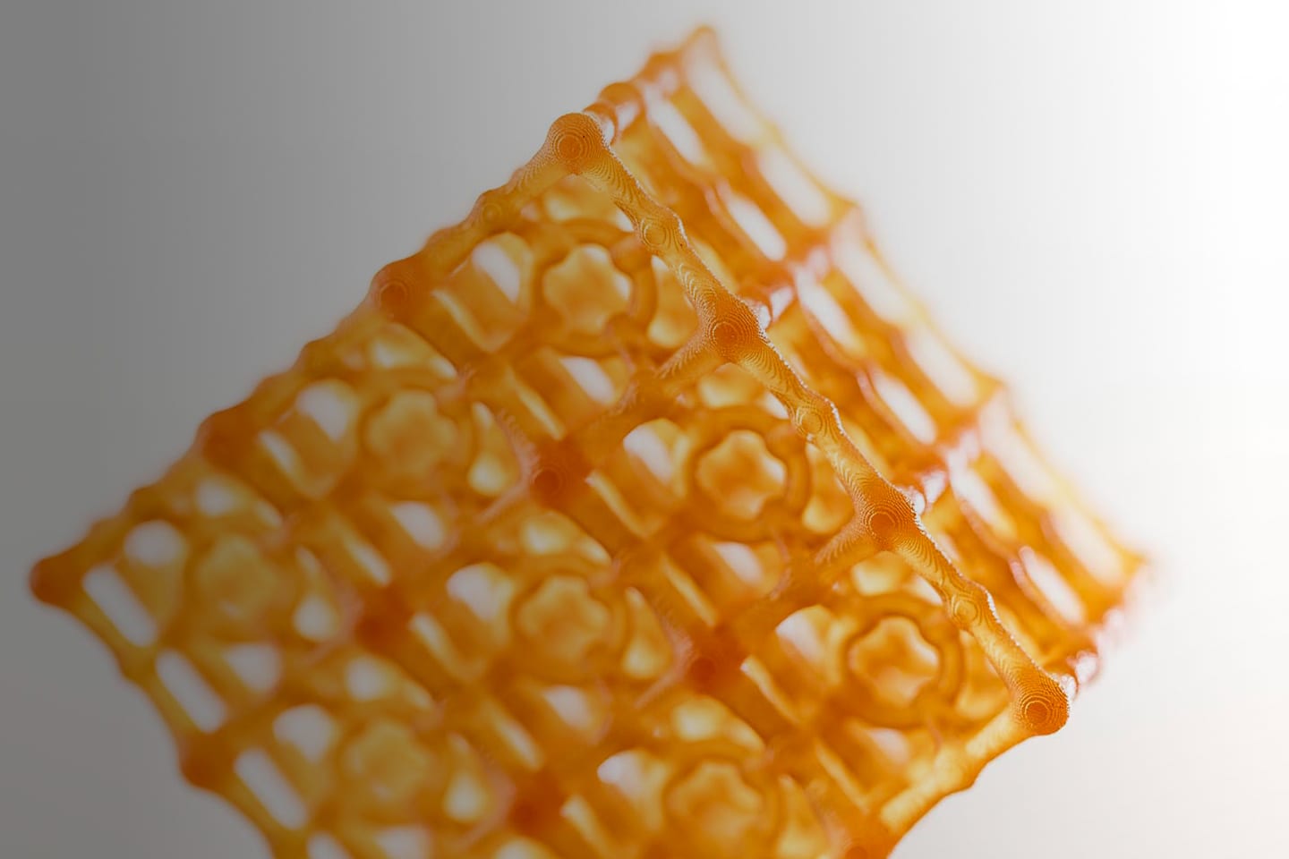 Orange lattices feature
