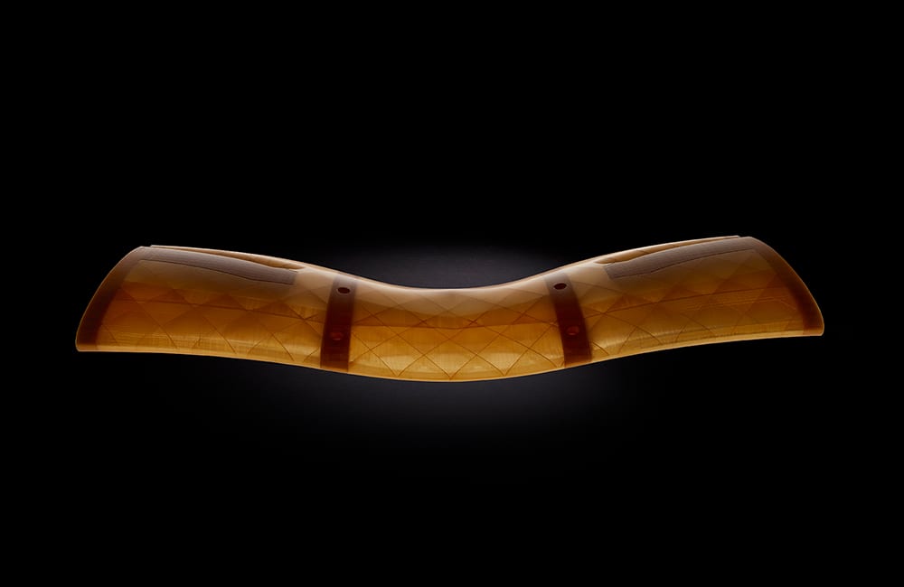 ULTEM wing