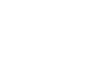 Rawlings logo white